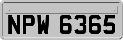 NPW6365