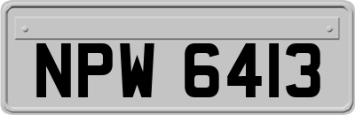 NPW6413