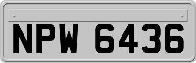 NPW6436