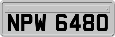NPW6480