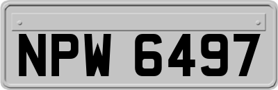 NPW6497