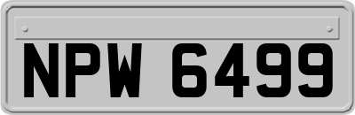 NPW6499