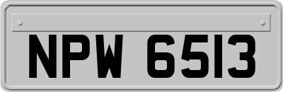 NPW6513