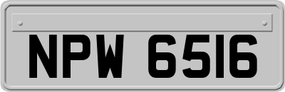 NPW6516