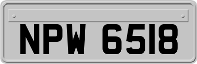 NPW6518