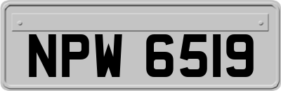 NPW6519