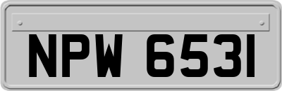 NPW6531