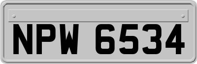 NPW6534
