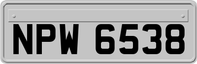 NPW6538