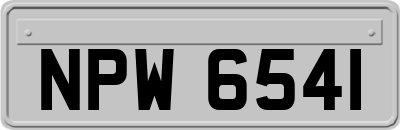 NPW6541