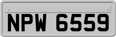 NPW6559