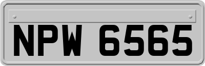 NPW6565