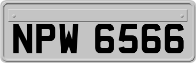 NPW6566
