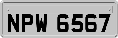NPW6567