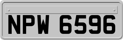 NPW6596