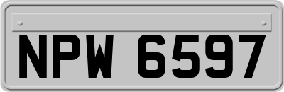 NPW6597