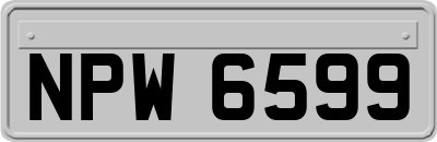 NPW6599