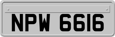 NPW6616