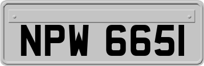 NPW6651
