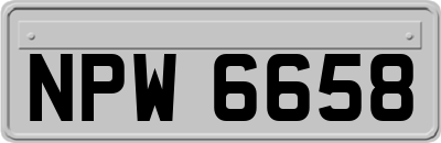 NPW6658