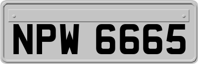 NPW6665