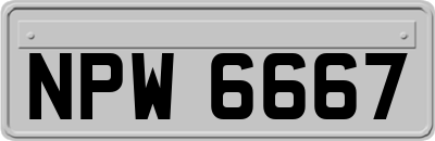 NPW6667
