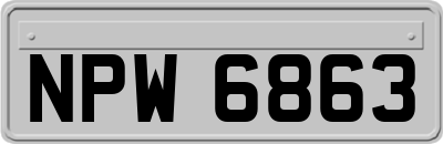 NPW6863