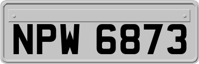 NPW6873