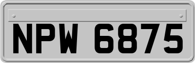 NPW6875
