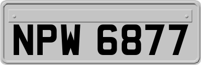 NPW6877
