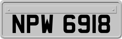 NPW6918
