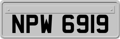 NPW6919