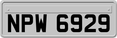 NPW6929