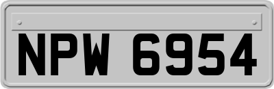 NPW6954