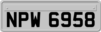 NPW6958
