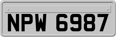 NPW6987