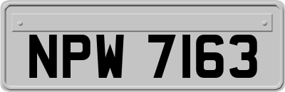 NPW7163