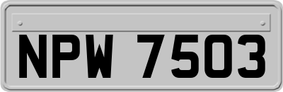 NPW7503