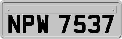 NPW7537