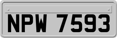 NPW7593