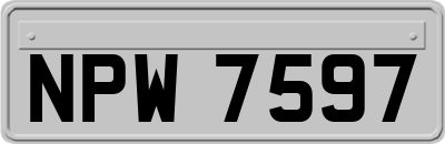 NPW7597