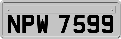 NPW7599