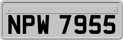 NPW7955
