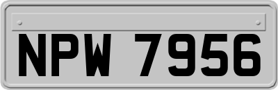 NPW7956