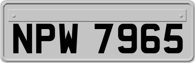 NPW7965