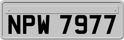 NPW7977