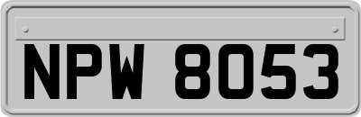 NPW8053