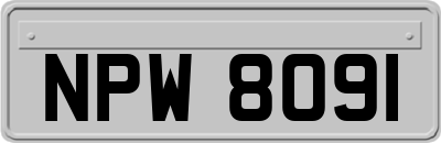 NPW8091