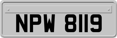 NPW8119