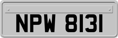 NPW8131